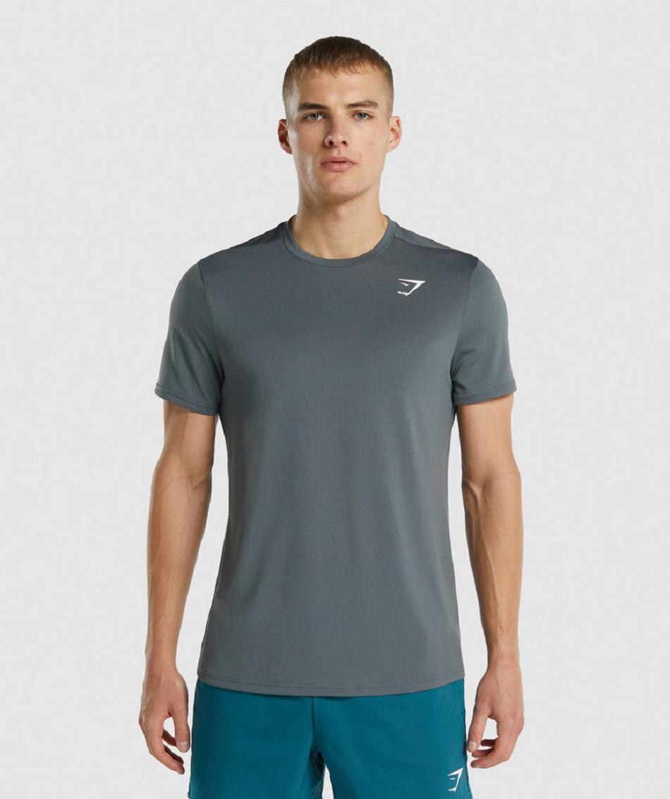 Gymshark Arrival Regular Fit Muške T Shirts Sive | HR 2437ILH